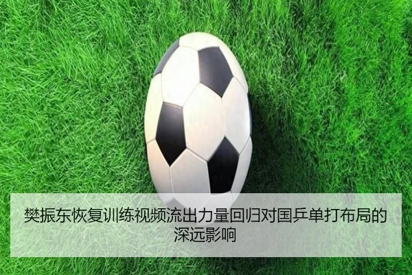 樊振东恢复训练视频流出力量回归对国乒单打布局的深远影响